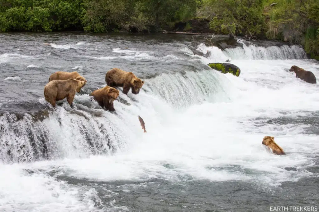 Best National Parks in the USA